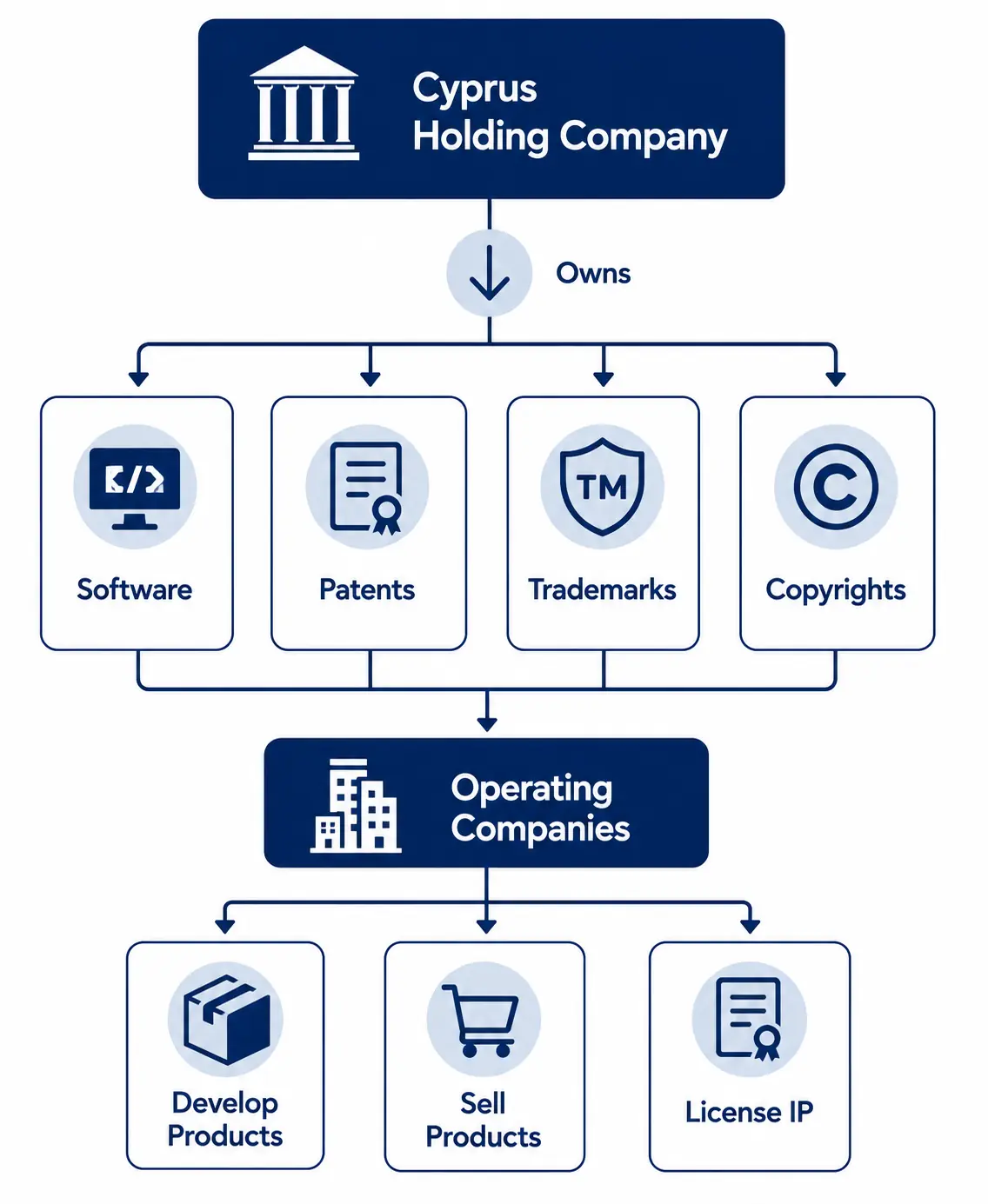 Cyprus holding company owning software, patents, trademarks and copyrights licensed to operating companies.